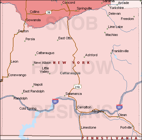 Cattaraugus County New York map