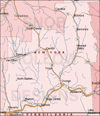 Tioga County New York map