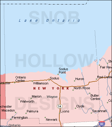 Wayne County New York map